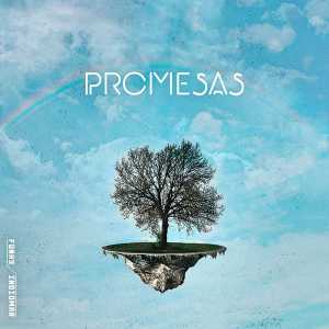 Promesas (Feat. IndioOmar) - Funky